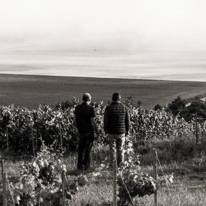 Growers Champagne Evening